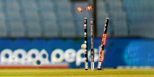 How Much Do IPL LED Stumps Cost? 